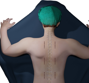 Spine - Educational Picture