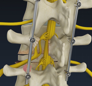 Spine - Educational Picture