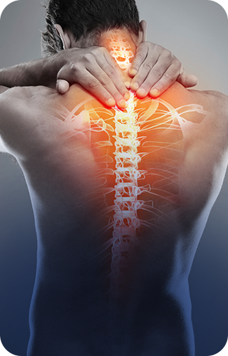 Thoracic - Picture